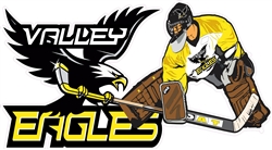 Valley Eagles 10 Car Window Decal clings | Stickers